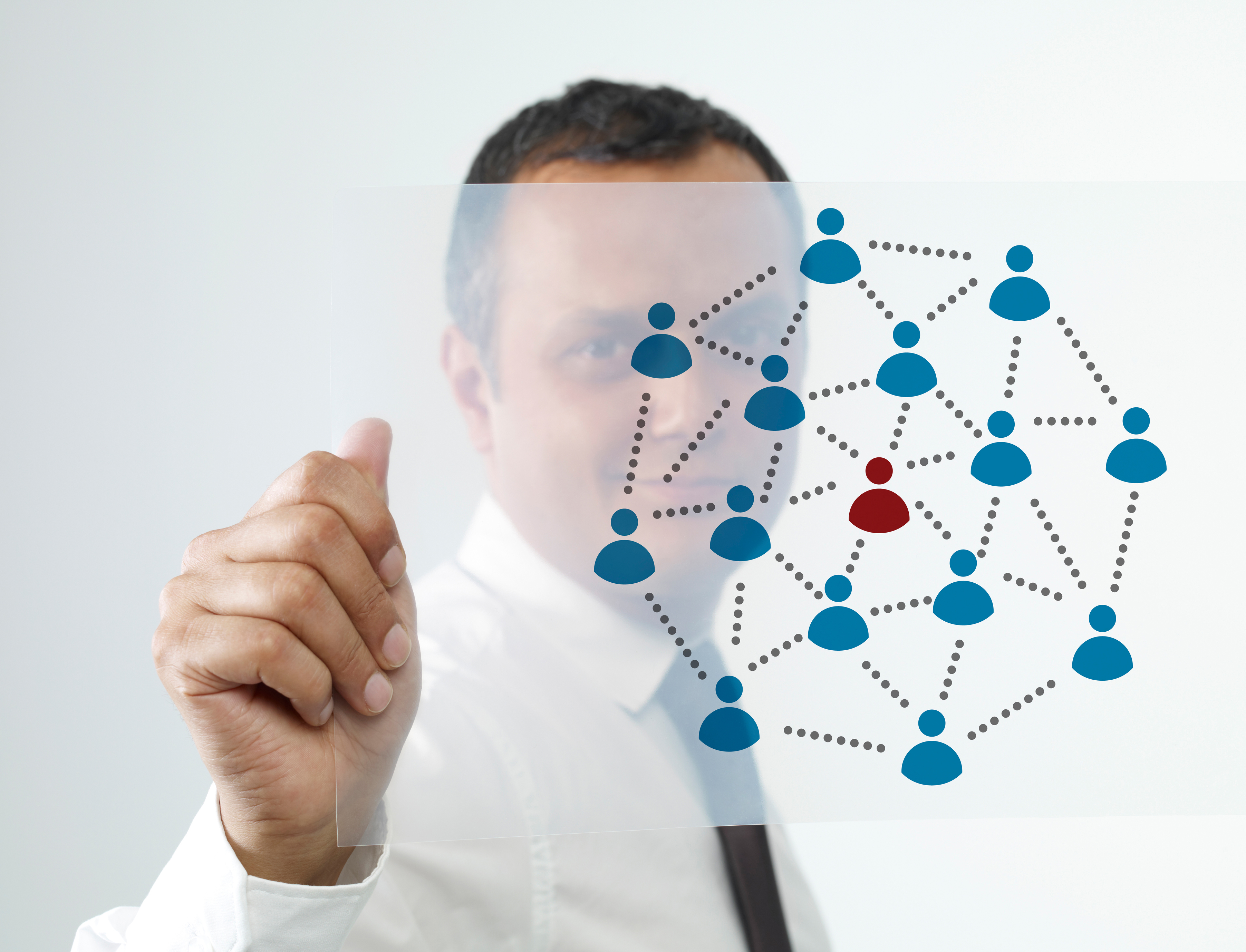 The Growing Organisation